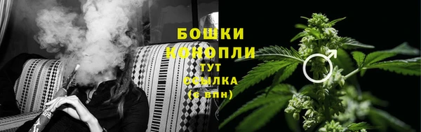молекула духа Иннополис