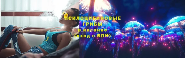 мет Инта