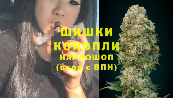мет Инта