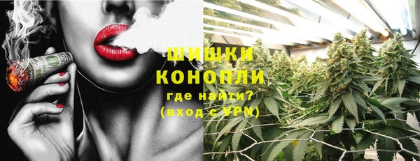 молекула духа Иннополис