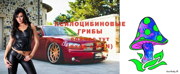 трава Инсар