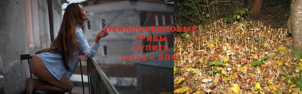 молекула духа Иннополис
