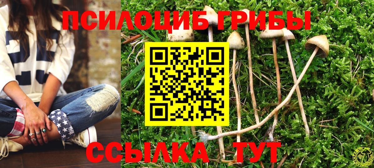 Отрадный  Псилоцибиновые грибы прущие грибы  Вход с VPN 