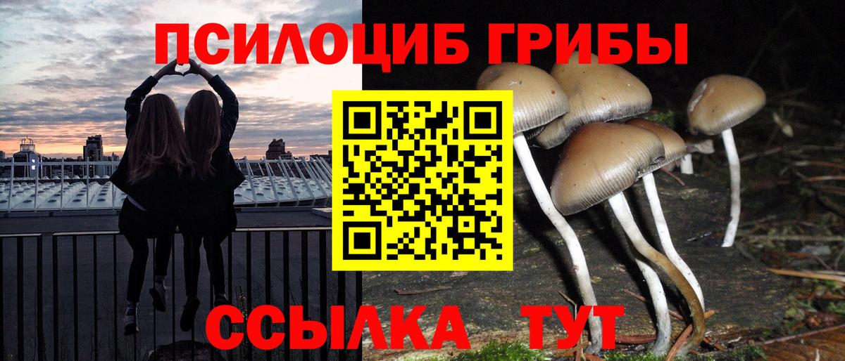 Галлюциногенные грибы мицелий Отрадный