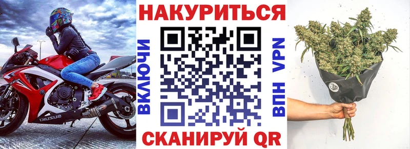 Конопля OG Kush  Отрадный 